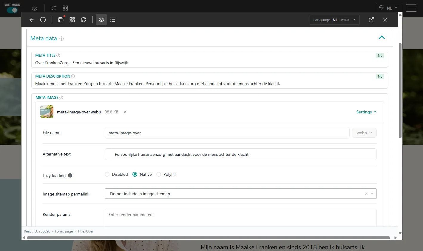 Metadata van een pagina: meta title, meta description en meta image.
